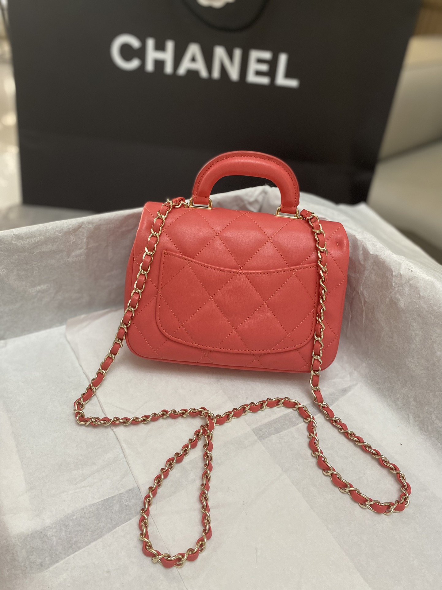 Chanel Luxury Handbag Collection 4