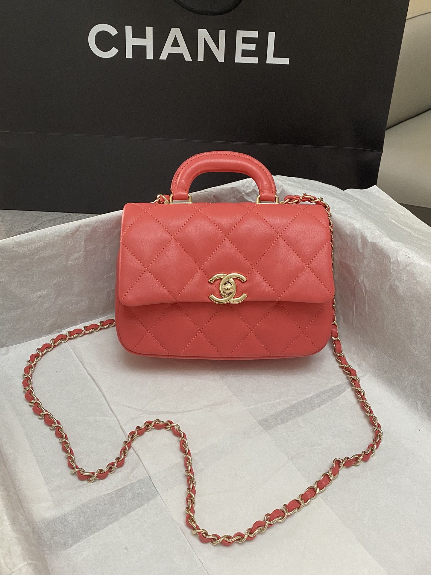 Chanel Luxury Handbag Collection 2