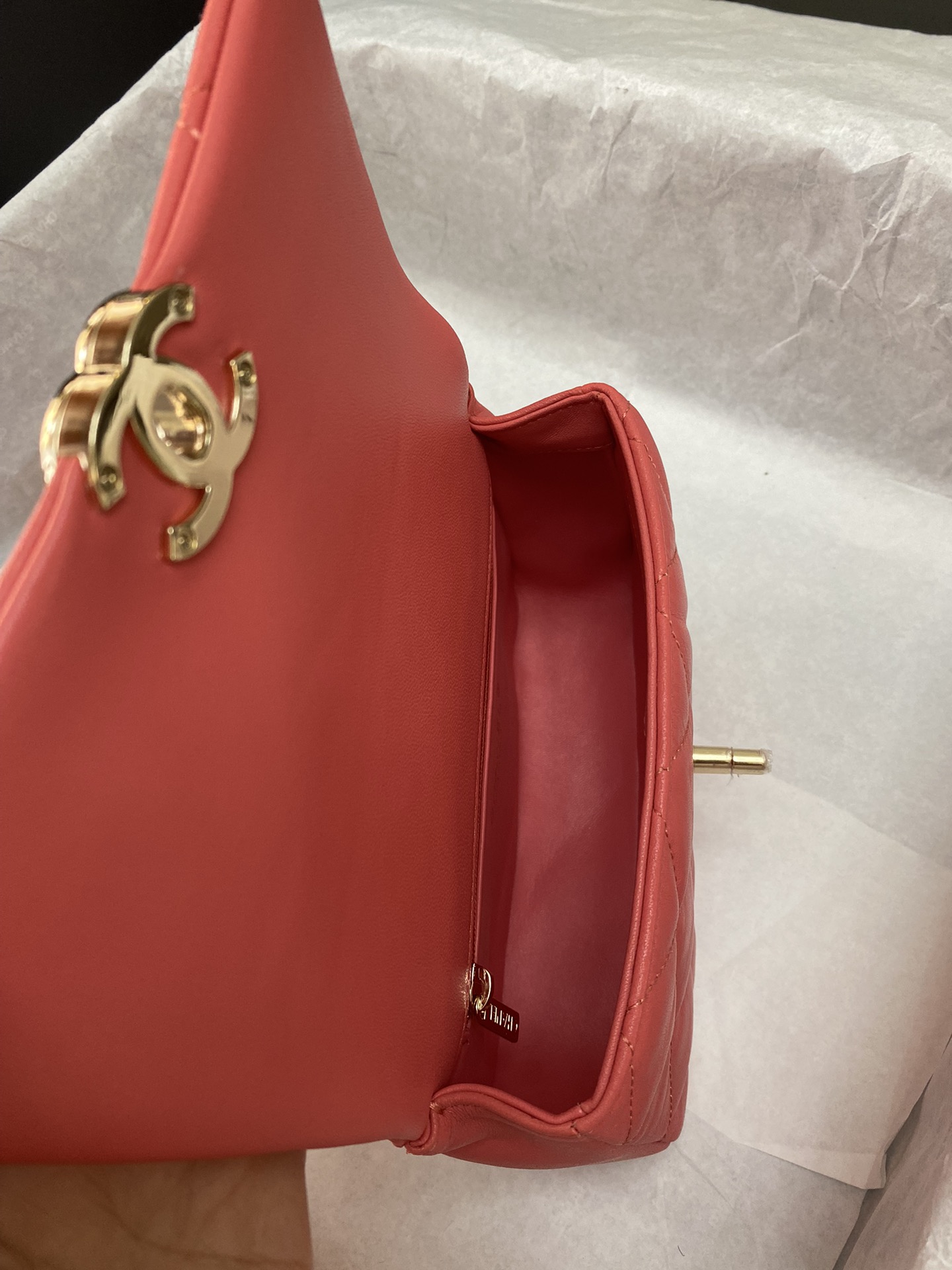 Chanel Luxury Handbag Collection 8