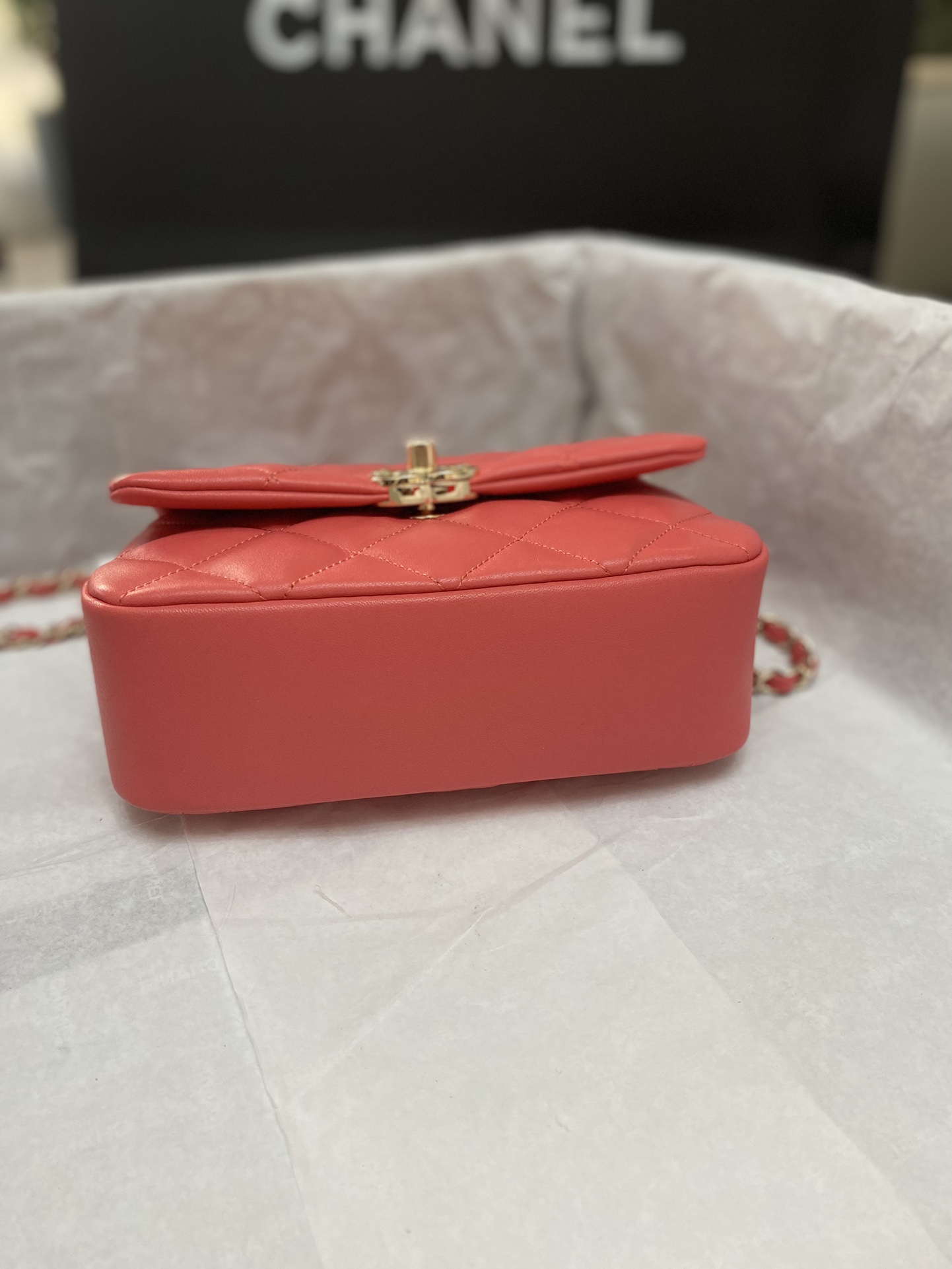 Chanel Luxury Handbag Collection 6
