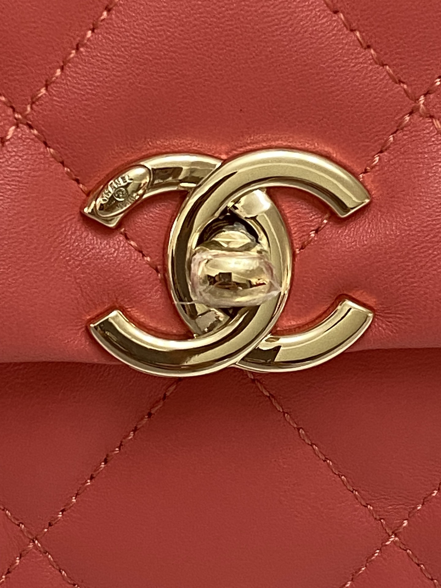 Chanel Luxury Handbag Collection 7