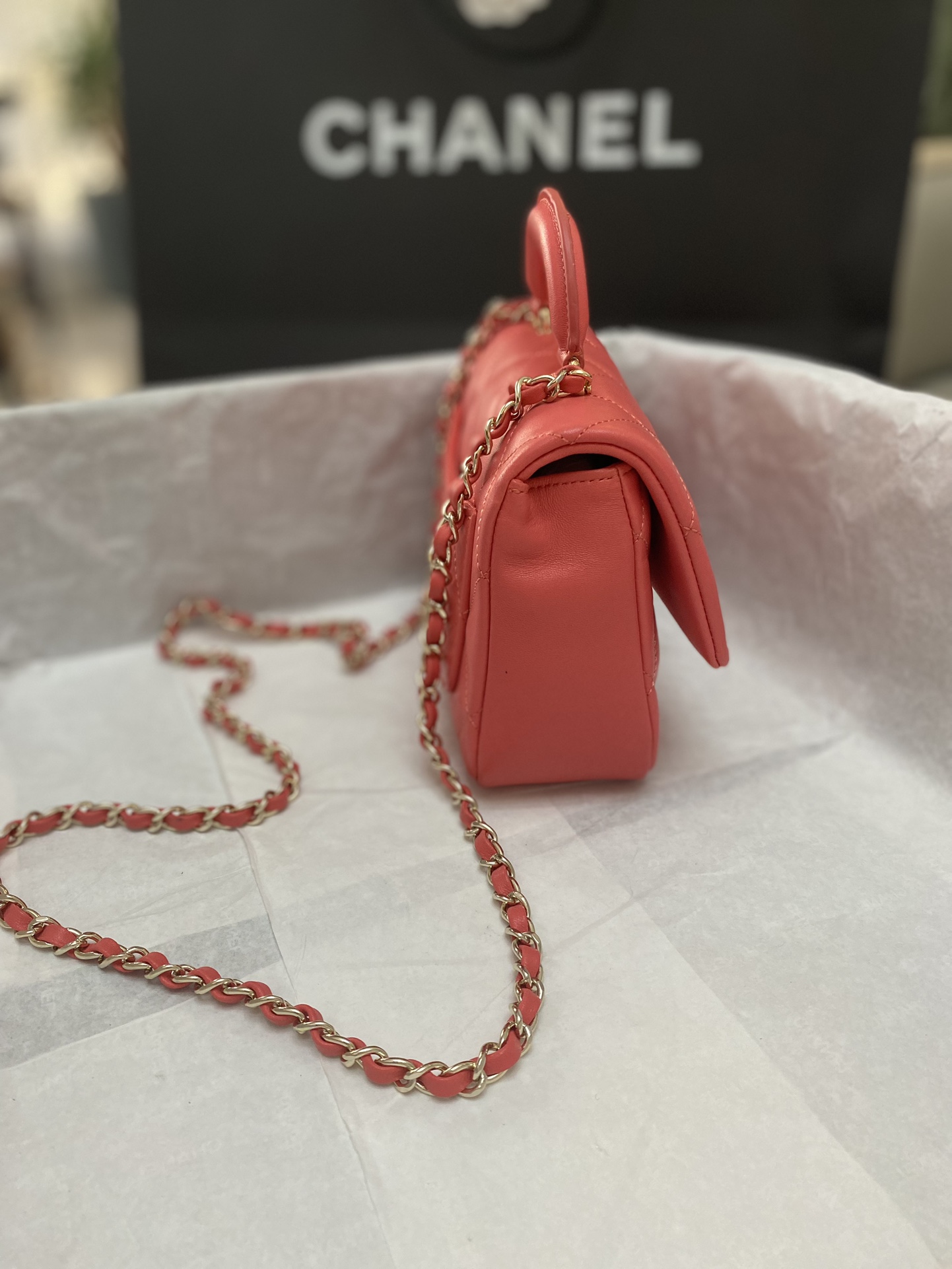 Chanel Luxury Handbag Collection 5