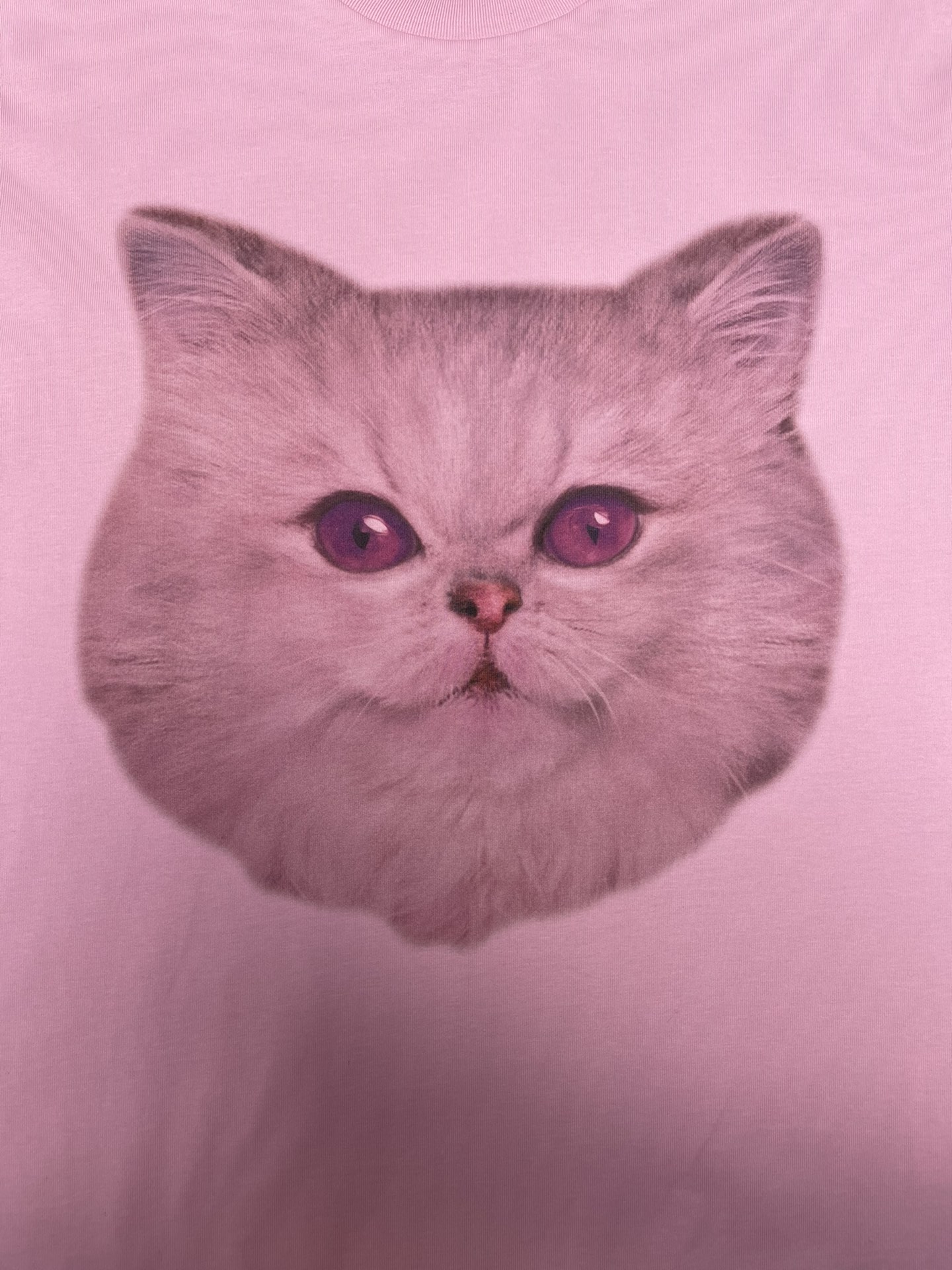 aa.jpg