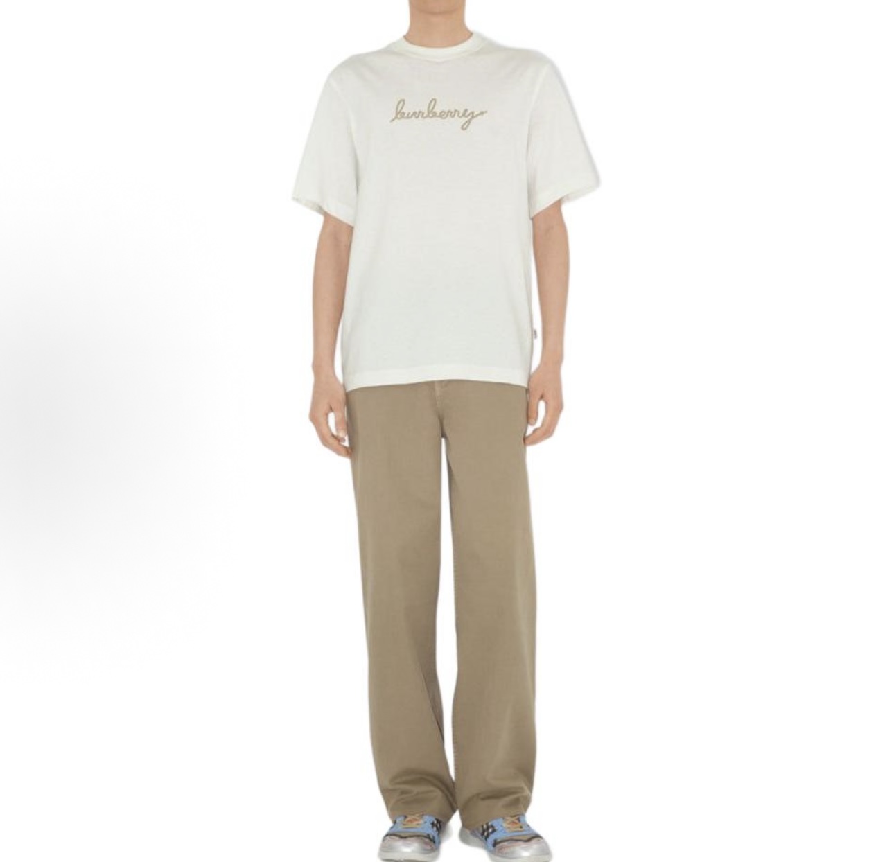 NO:462087,Official website picture, alexander wang19860909官网图,,alexander wang,Men's clothing