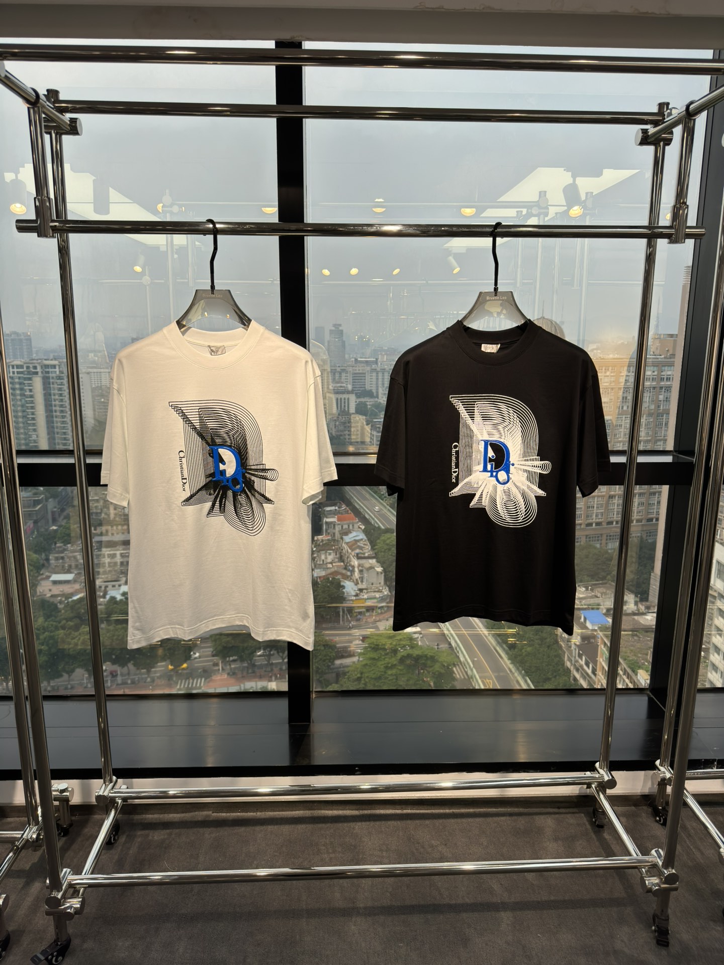 Dior Clothing T-Shirt Printing Cotton Summer Collection