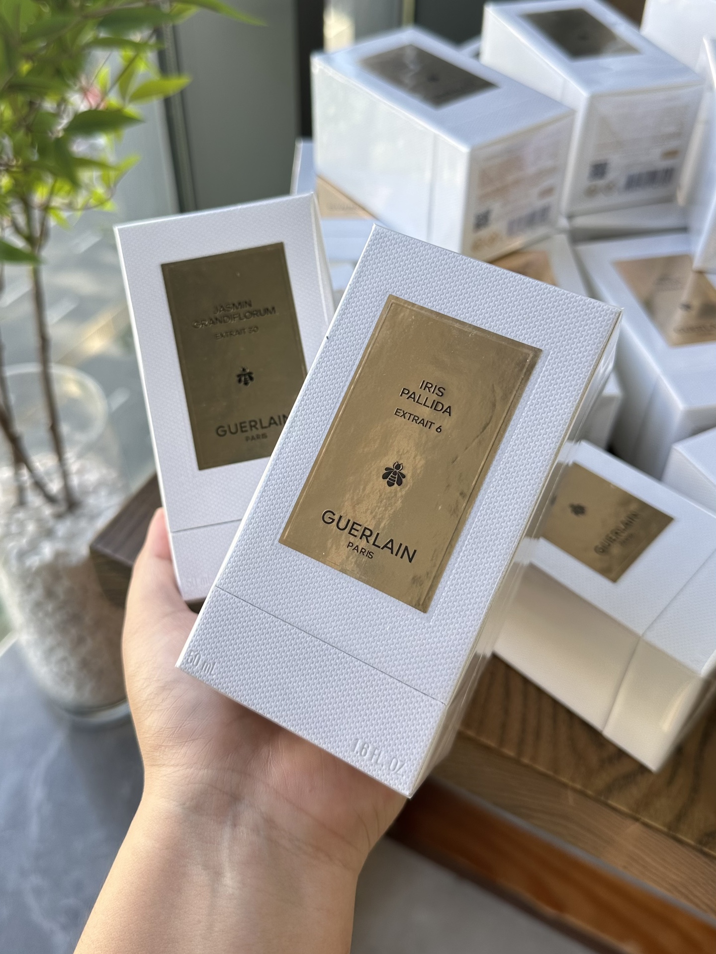 香水的尽头是娇兰 8