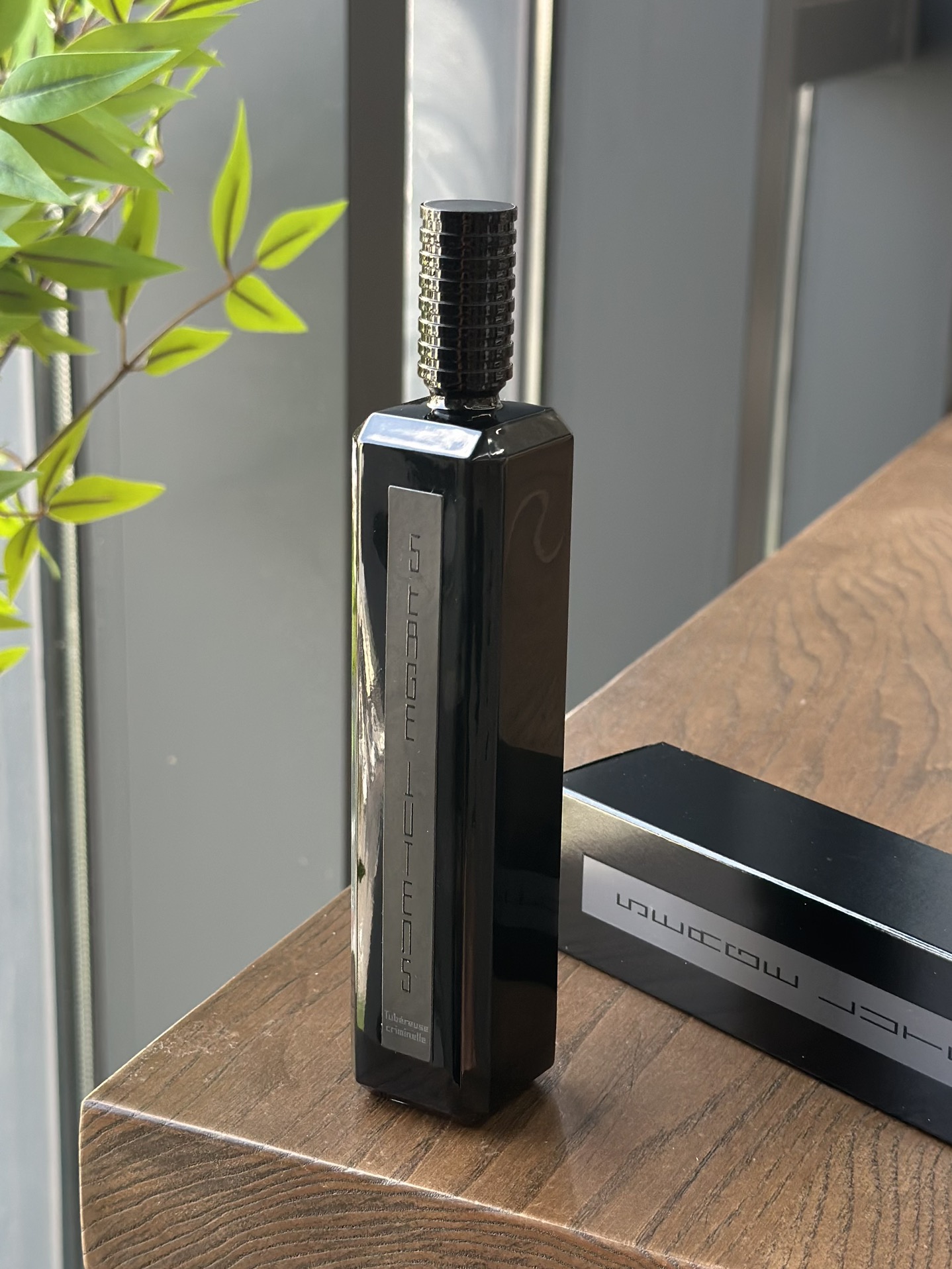 diffuse a mesmerizing fragrance that blossoms at dusk - Comprehensive 7
