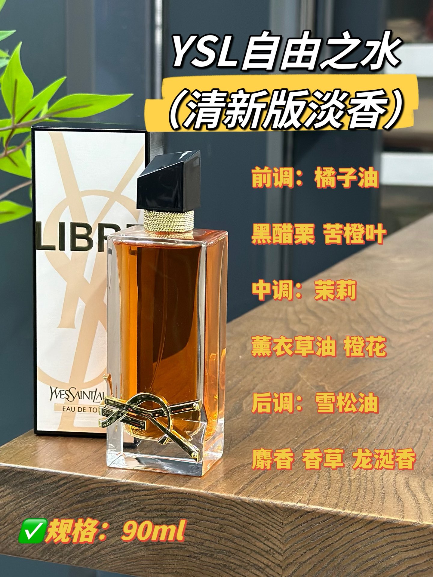 YSL Perfume