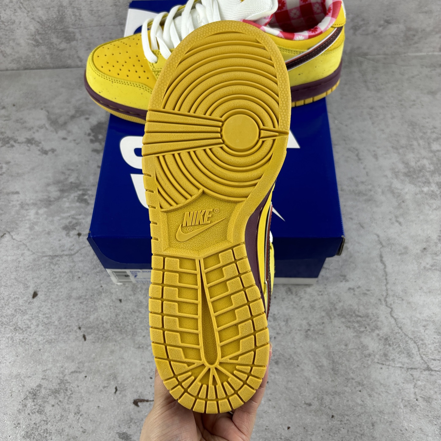  特价 Concepts x SB Dunk Low Yellow Lobster 黄龙虾 SB低帮运动