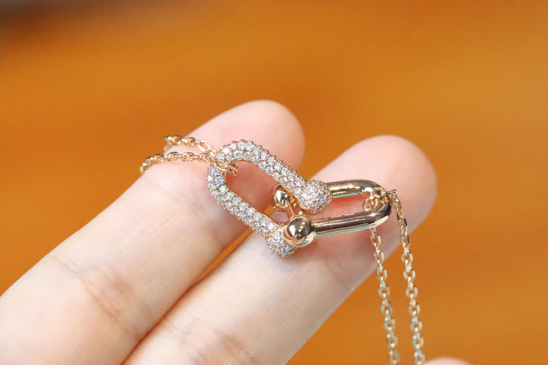 Tiffany & Co. Tiffany&co.hardwear系列u形双链环项链