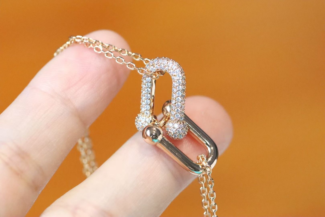 Tiffany & Co. Tiffany&co.hardwear系列u形双链环项链