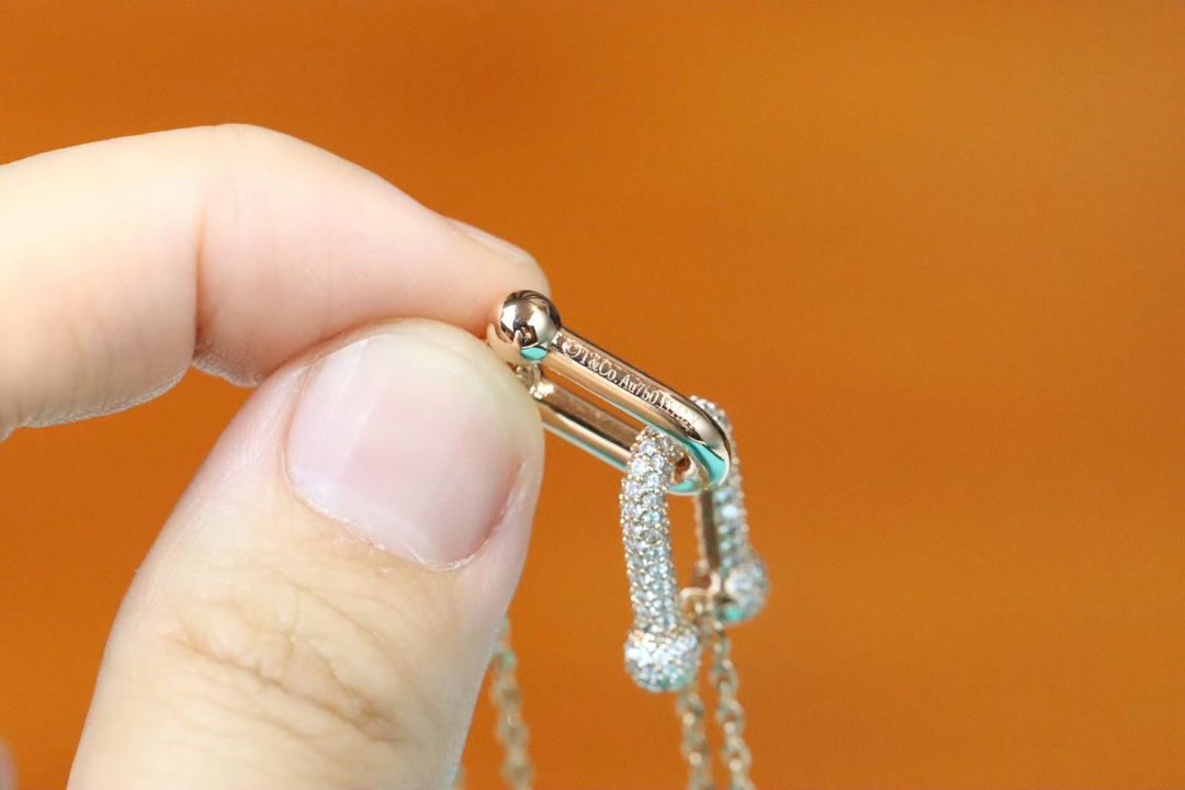 Tiffany & Co. Tiffany&co.hardwear系列u形双链环项链
