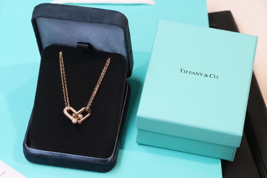 Tiffany & Co. Tiffany&co.hardwear系列u形双链环项链