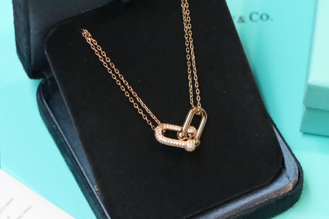 Tiffany & Co. Tiffany&co.hardwear系列u形双链环项链