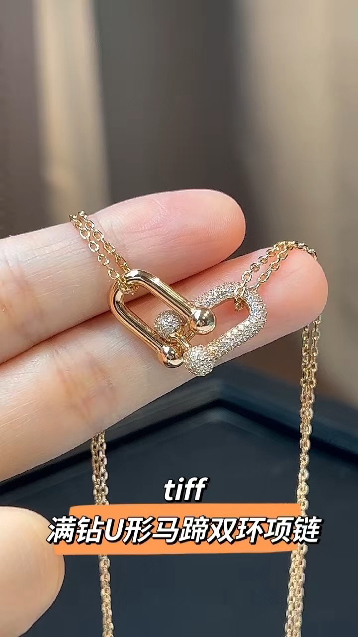 Tiffany & Co. Tiffany&co.hardwear系列u形双链环项链
