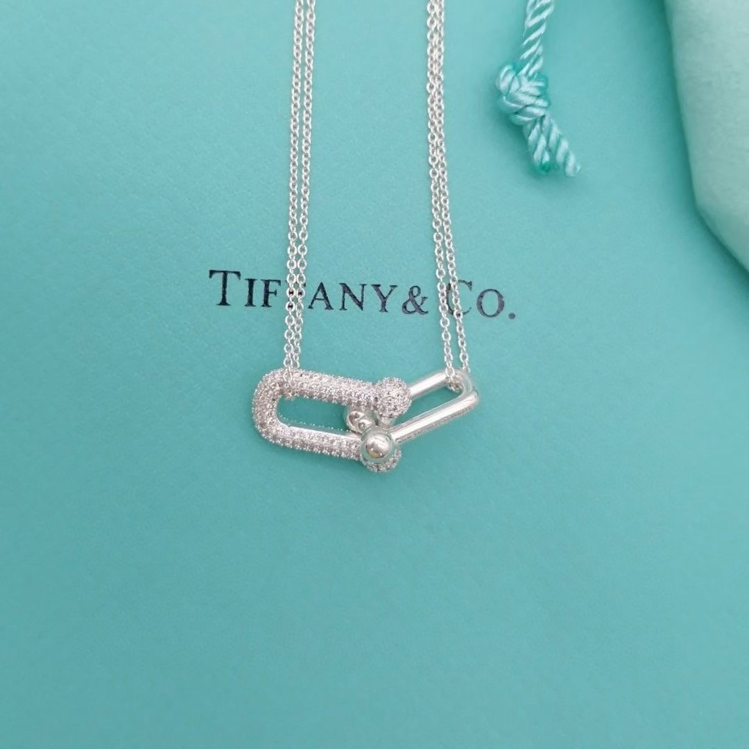 Tiffany & Co. Tiffany hardwear带钻竹节双环项链