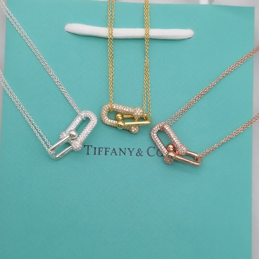 Tiffany & Co. Tiffany hardwear带钻竹节双环项链
