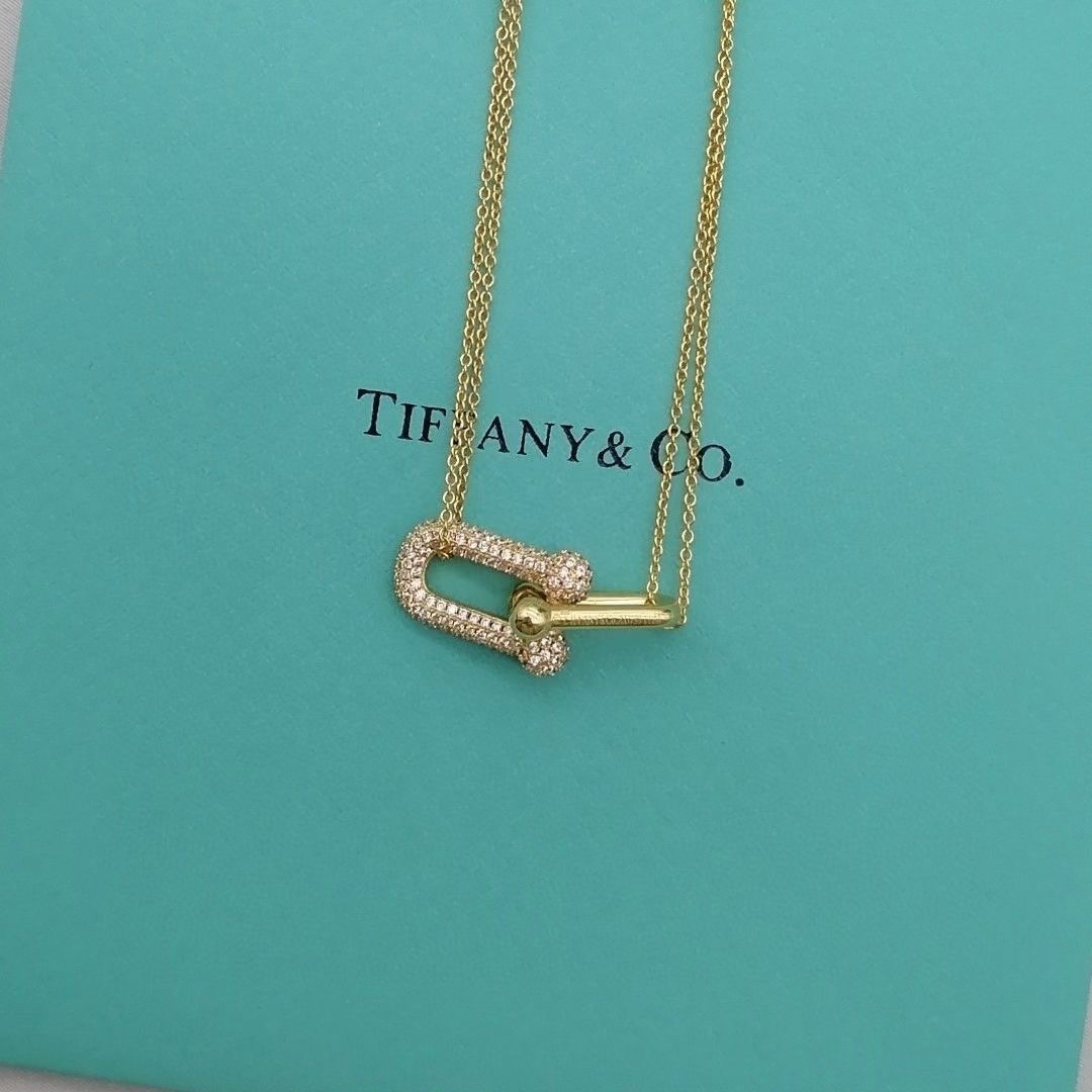 Tiffany & Co. Tiffany hardwear带钻竹节双环项链