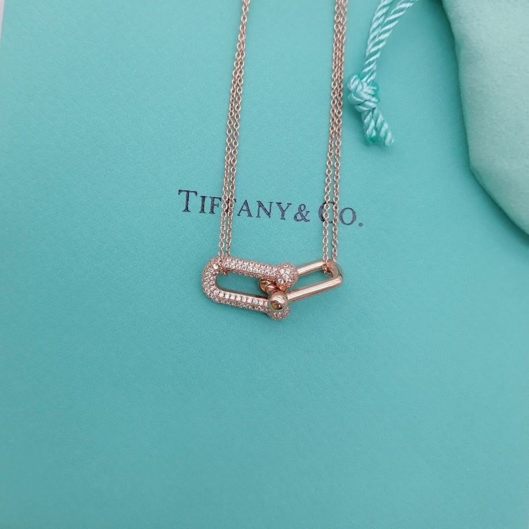 Tiffany & Co. Tiffany hardwear带钻竹节双环项链