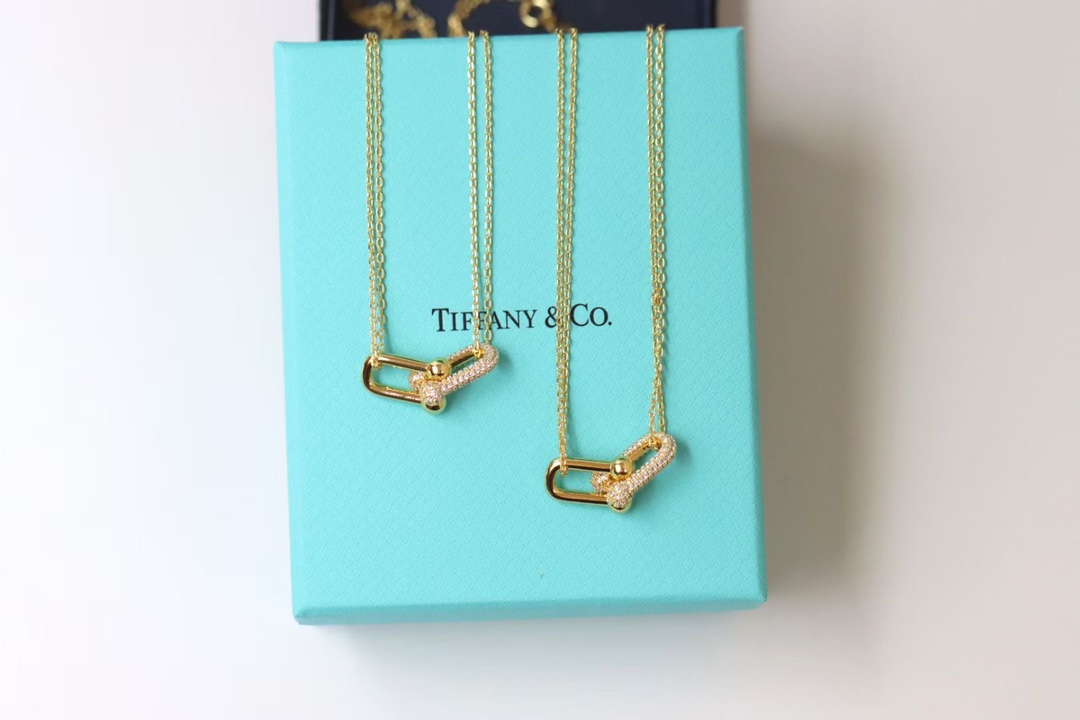 Tiffany & Co. Tiffany&co.hardwear系列u形双链环项链