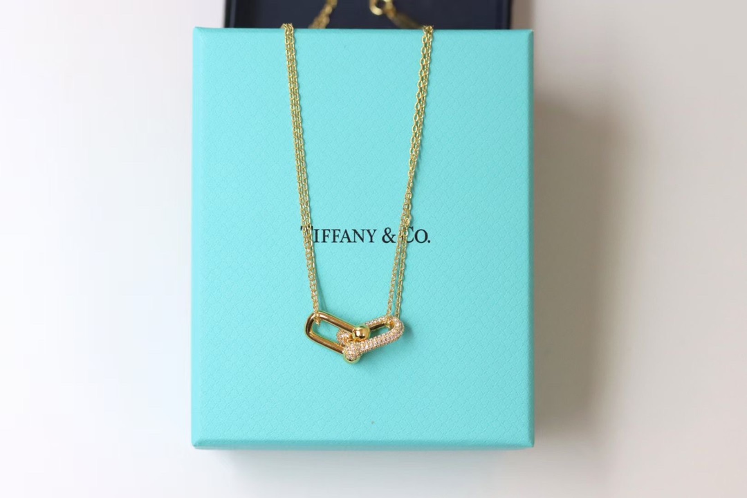 Tiffany & Co. Tiffany&co.hardwear系列u形双链环项链
