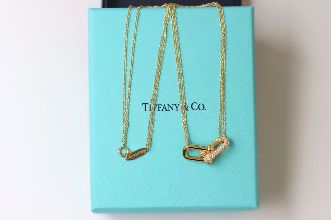 Tiffany & Co. Tiffany&co.hardwear系列u形双链环项链