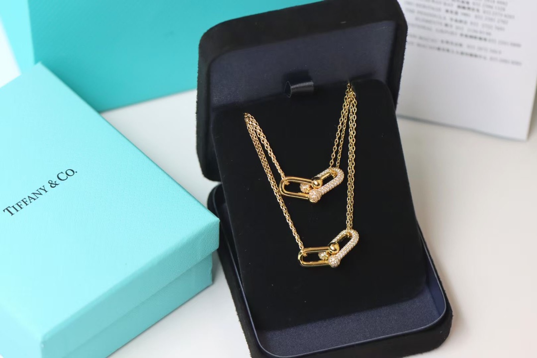 Tiffany & Co. Tiffany&co.hardwear系列u形双链环项链
