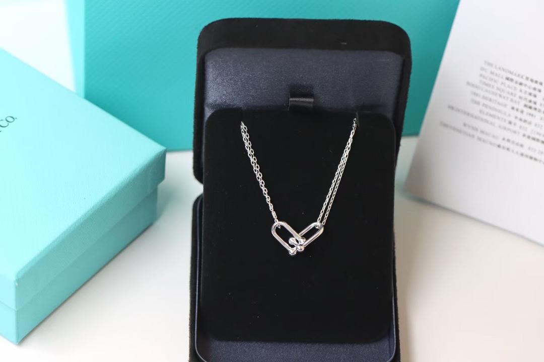 Tiffany & Co. Tiffany&co.hardwear系列u形双链环项链