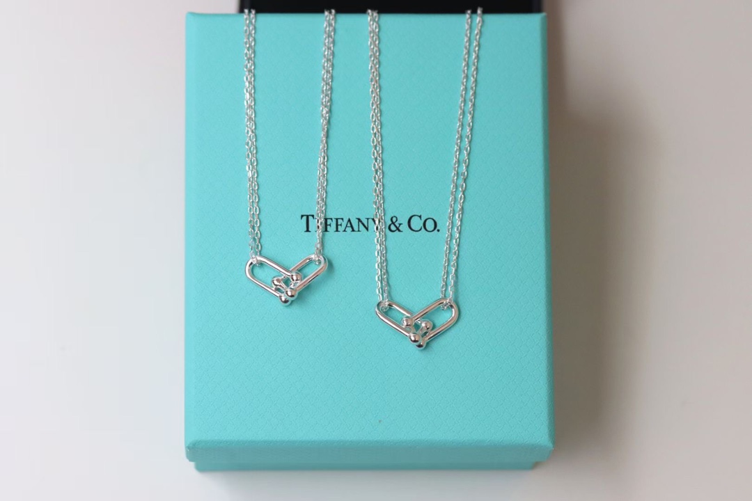 Tiffany & Co. Tiffany&co.hardwear系列u形双链环项链