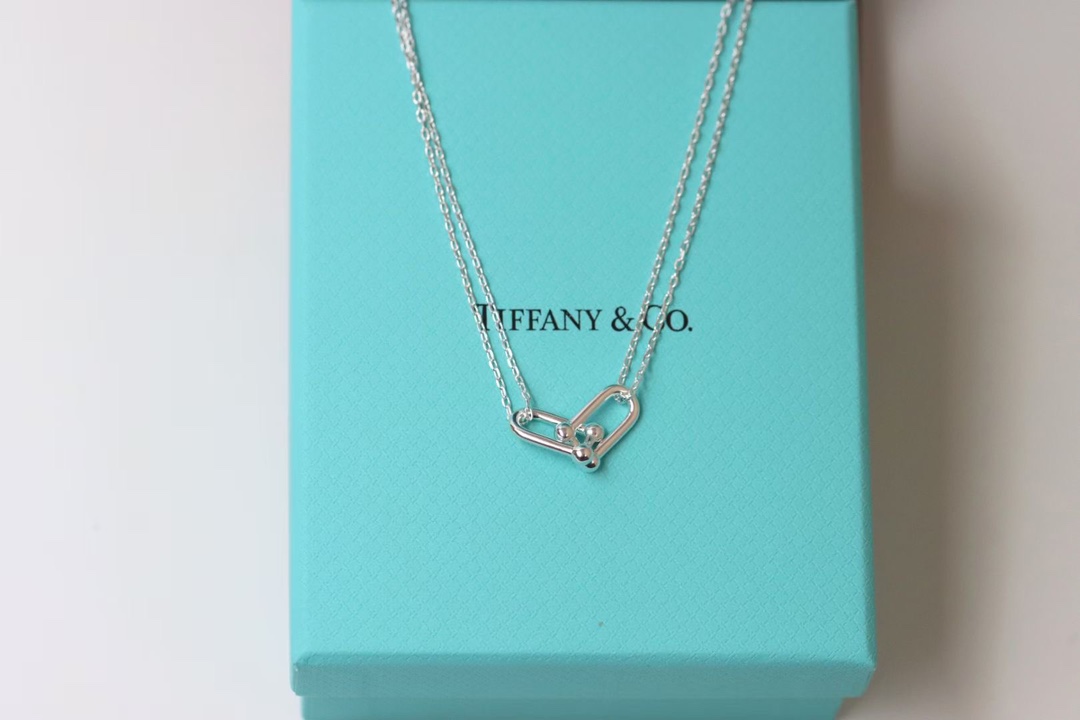 Tiffany & Co. Tiffany&co.hardwear系列u形双链环项链