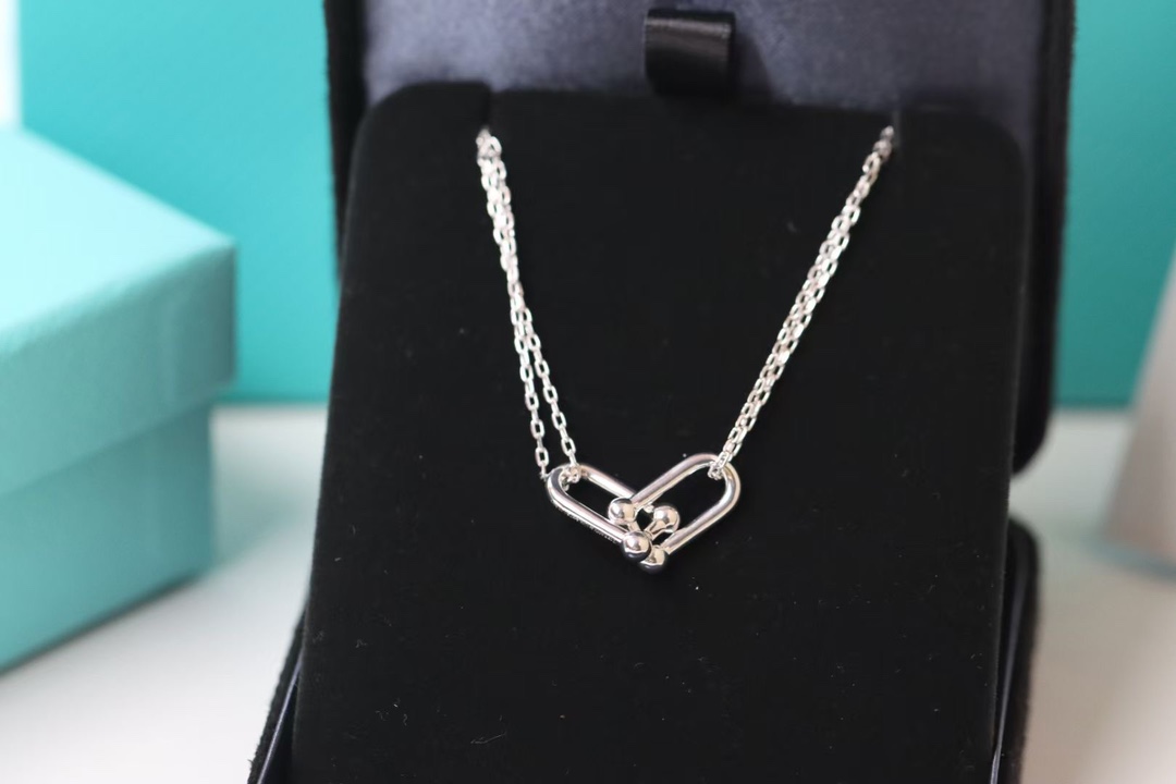 Tiffany & Co. Tiffany&co.hardwear系列u形双链环项链