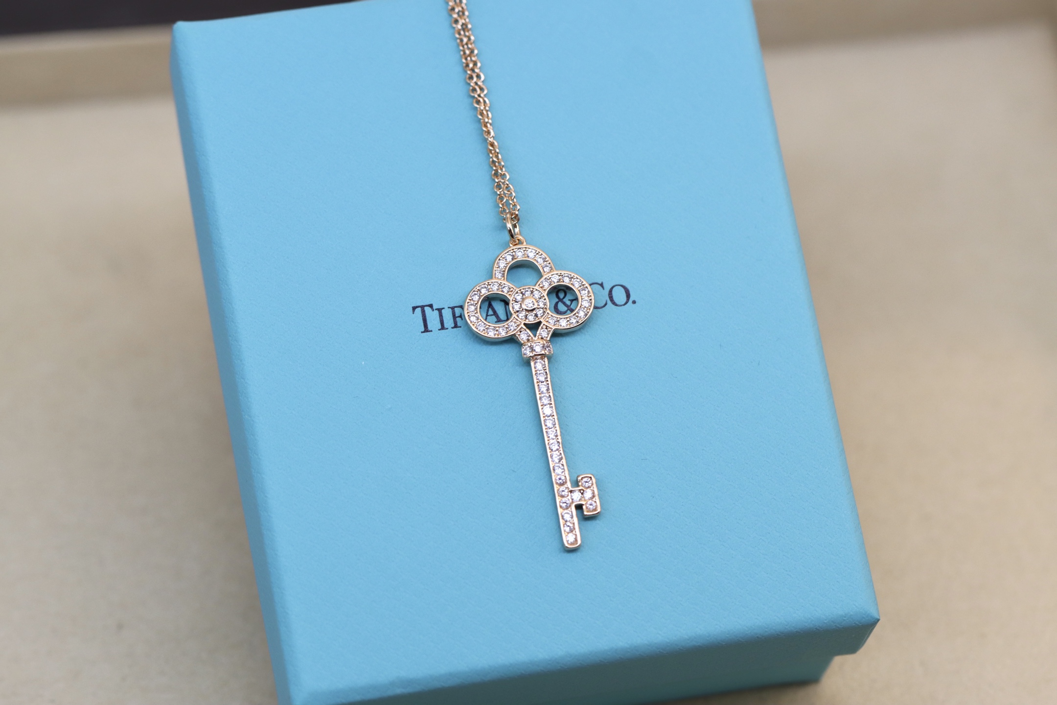 Tiffany & Co. Tiffany&Co. 满钻皇冠锁骨项链 纯银