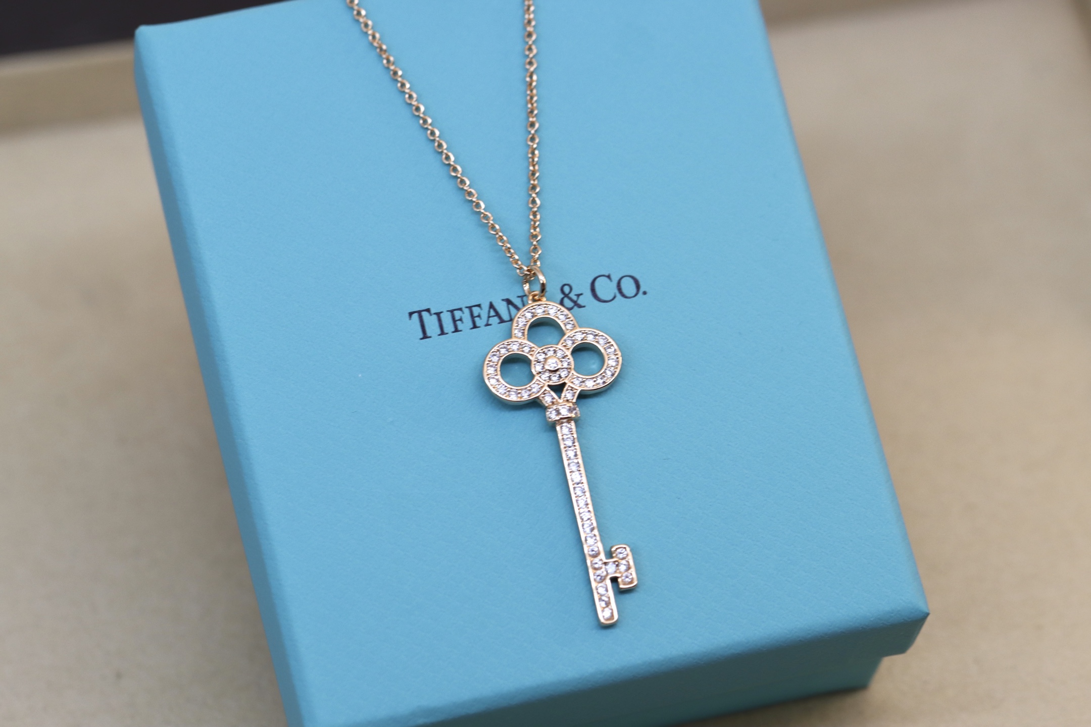 Tiffany & Co. Tiffany&Co. 满钻皇冠锁骨项链 纯银