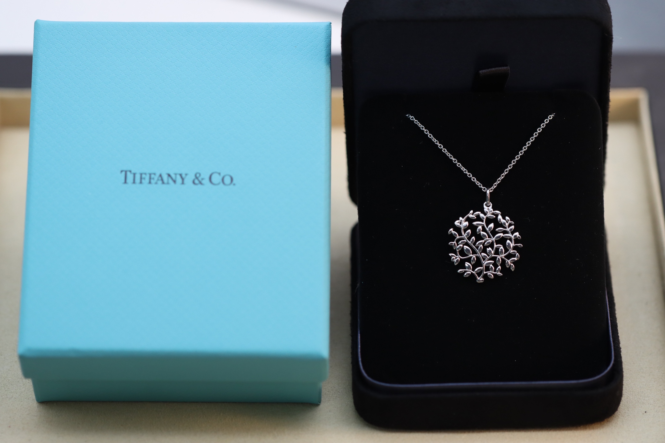 Tiffany & Co. Tiffany&Co.银色树叶项链 925纯银