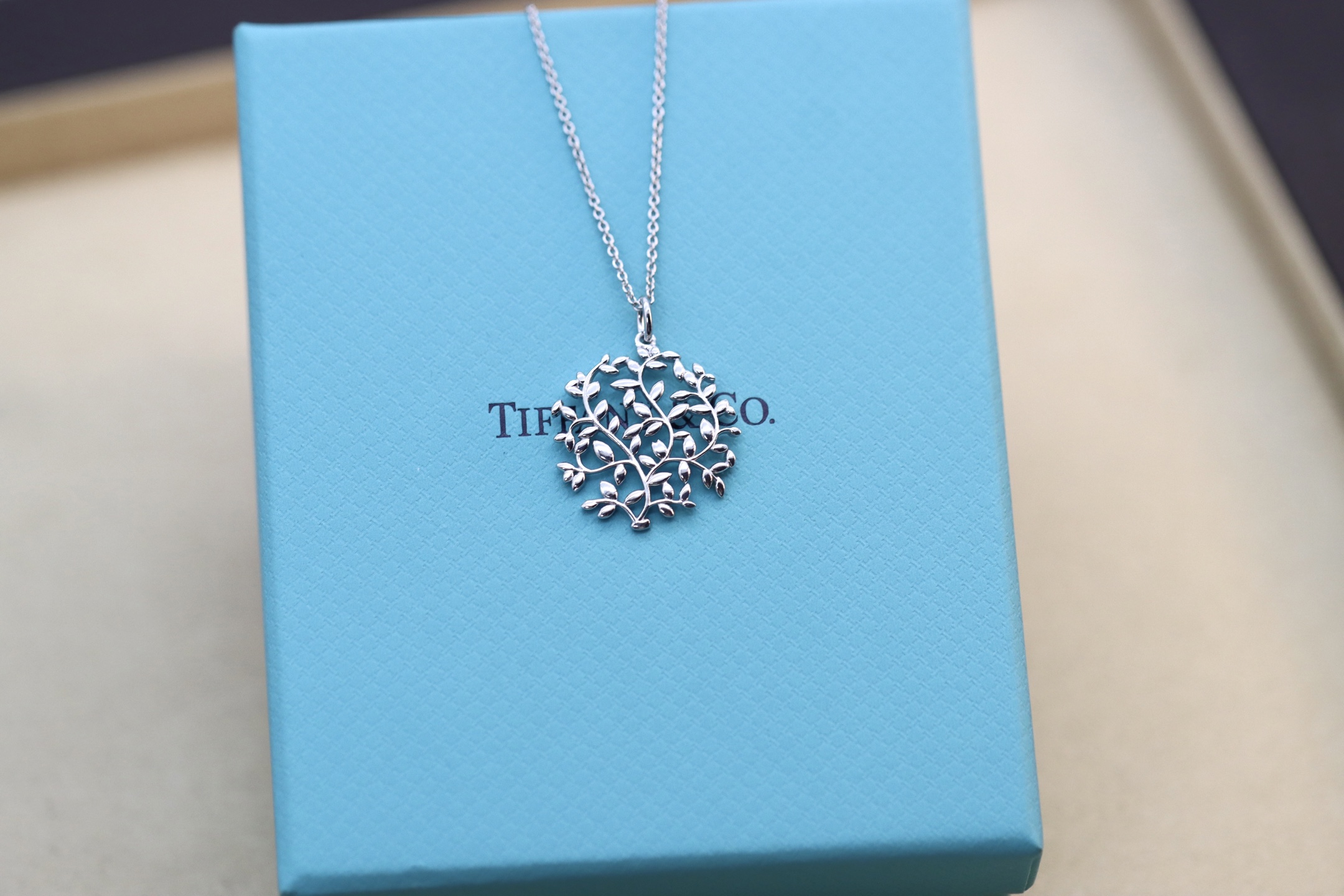 Tiffany & Co. Tiffany&Co.银色树叶项链 925纯银