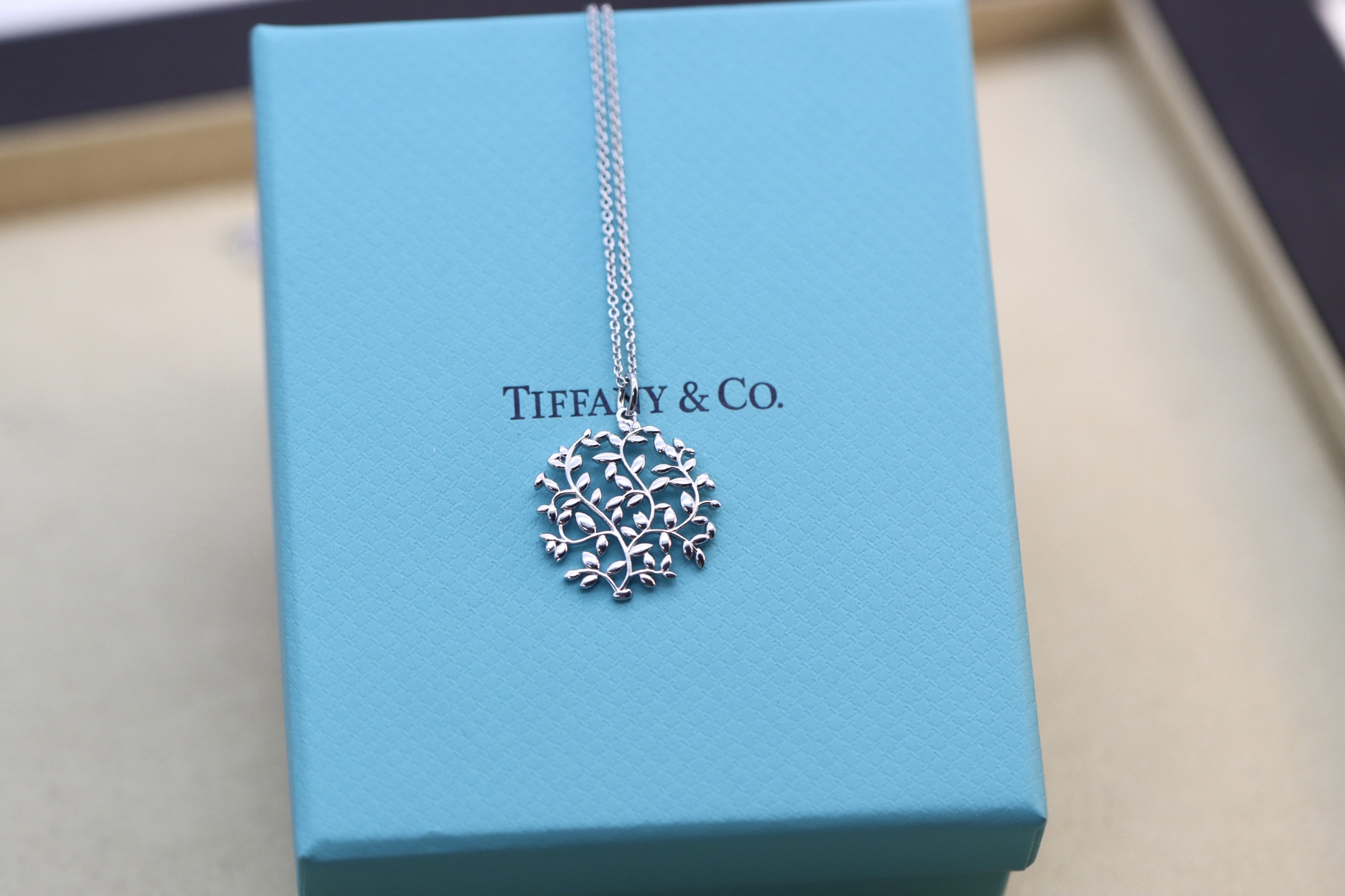 Tiffany & Co. Tiffany&Co.银色树叶项链 925纯银
