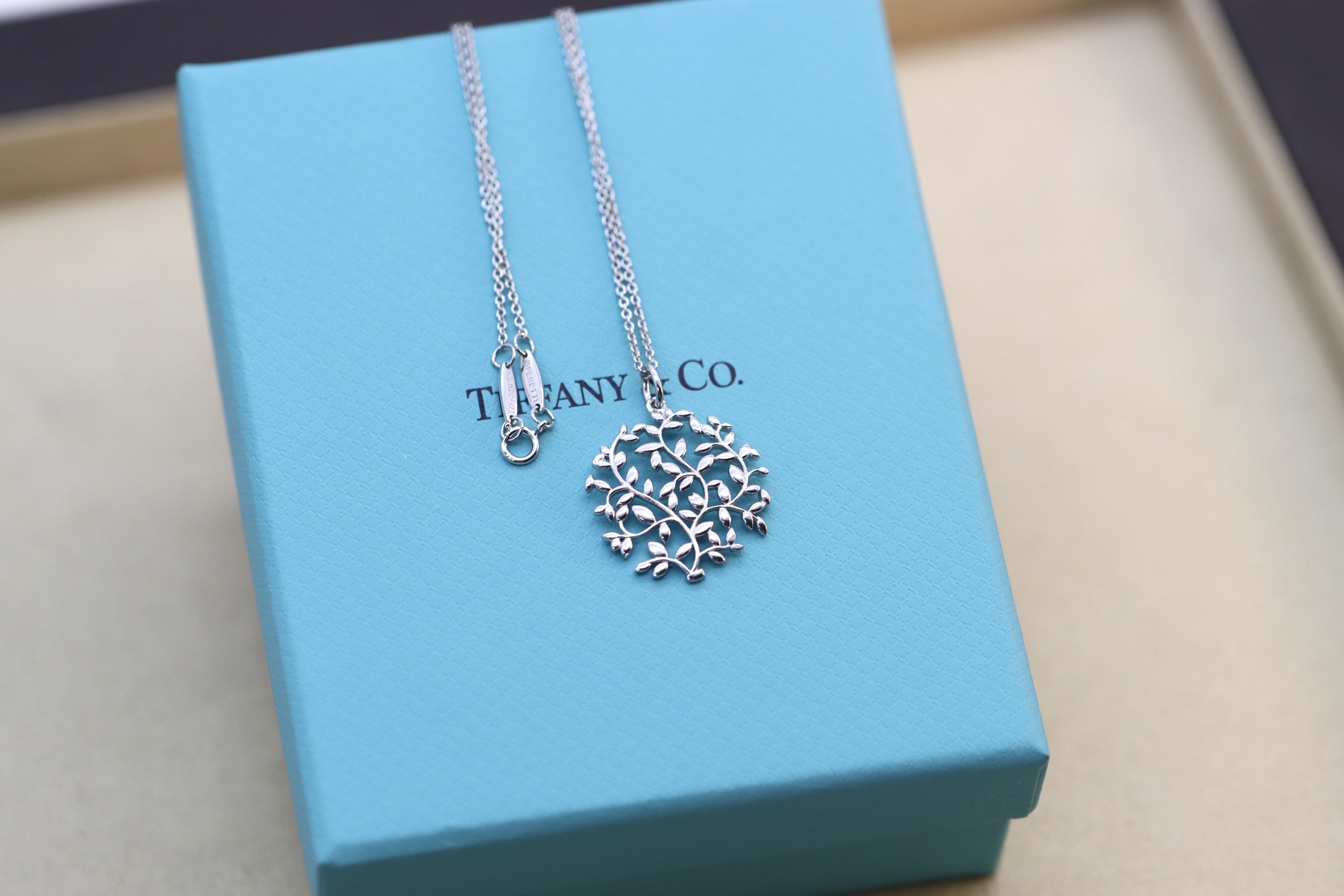 Tiffany & Co. Tiffany&Co.银色树叶项链 925纯银