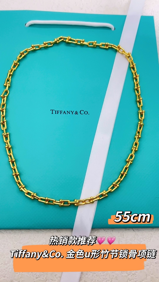 Tiffany & Co. Tiffany&Co.Hardwear u形竹节竹节项链
