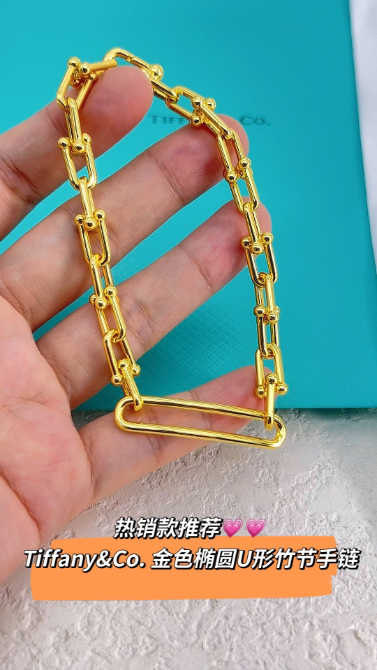 Tiffany & Co. 蒂芙尼tiffany&Co. 椭圆U型扣 手链