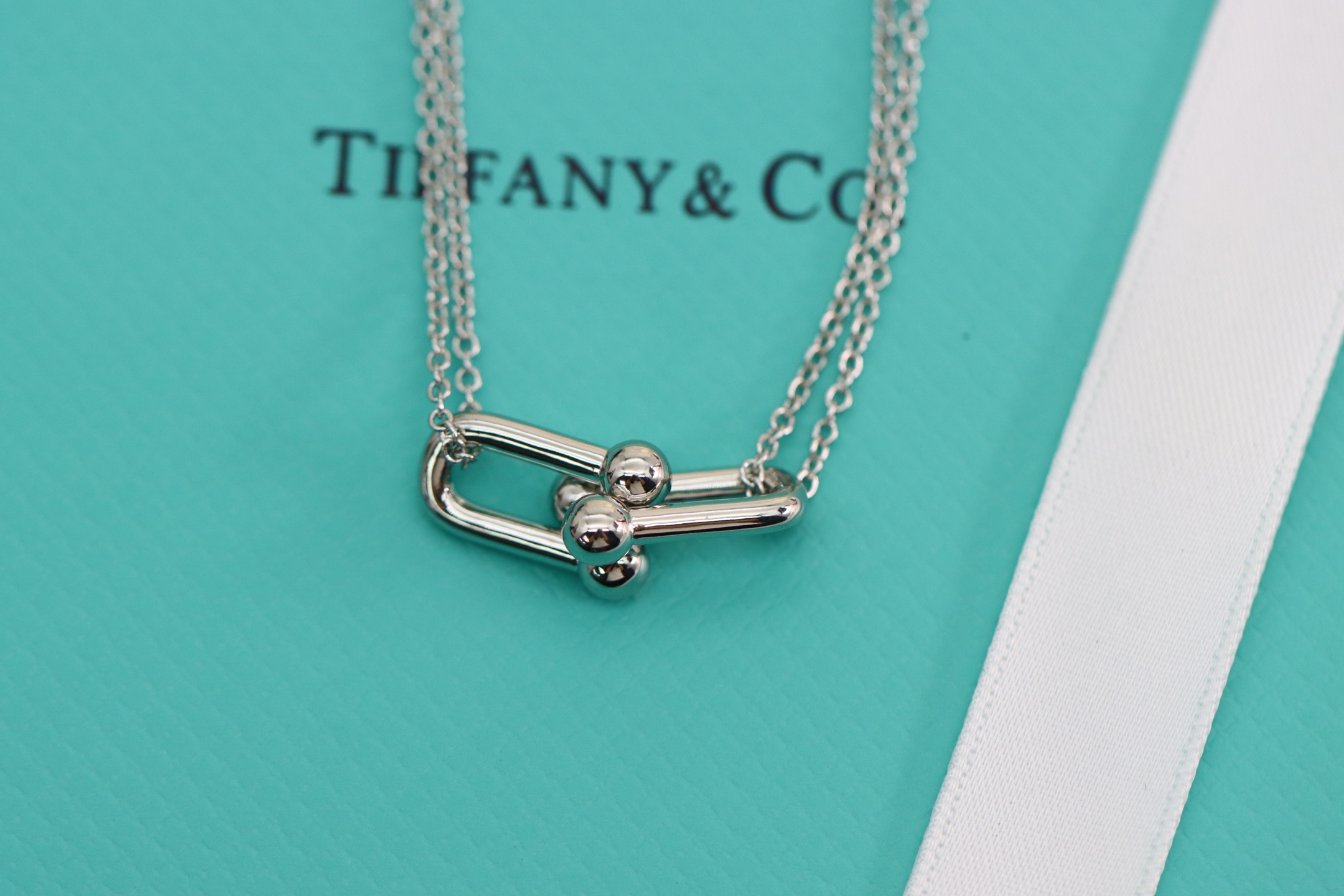 Tiffany & Co. Tiffany&co.hardwear系列u形双链环项链