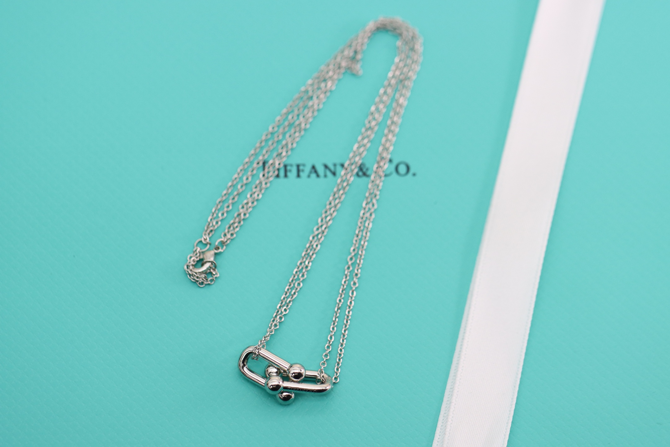 Tiffany & Co. Tiffany&co.hardwear系列u形双链环项链