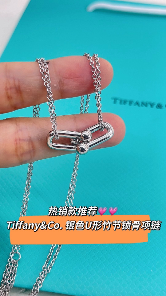 Tiffany & Co. Tiffany&co.hardwear系列u形双链环项链