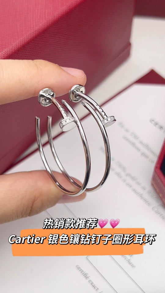Cartier Cartier 银色 头尾钻钉子耳环
