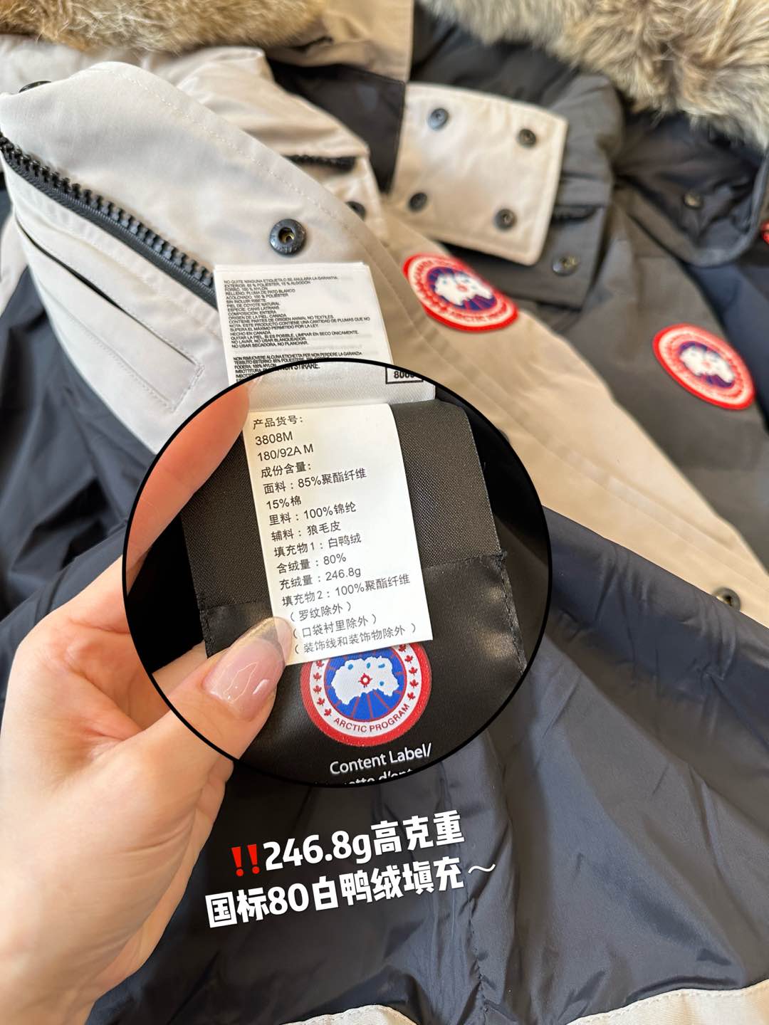 i1735462451107 5752 0 6