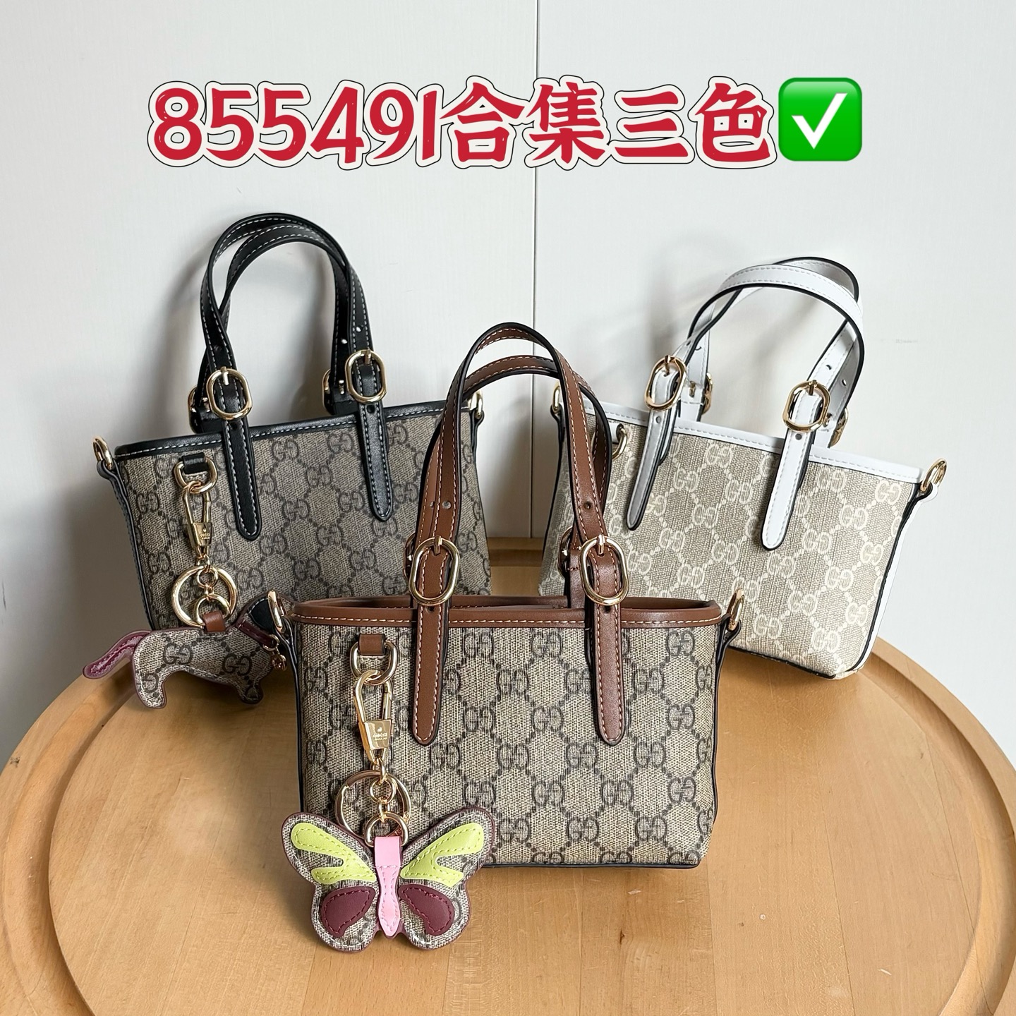 855491 colección