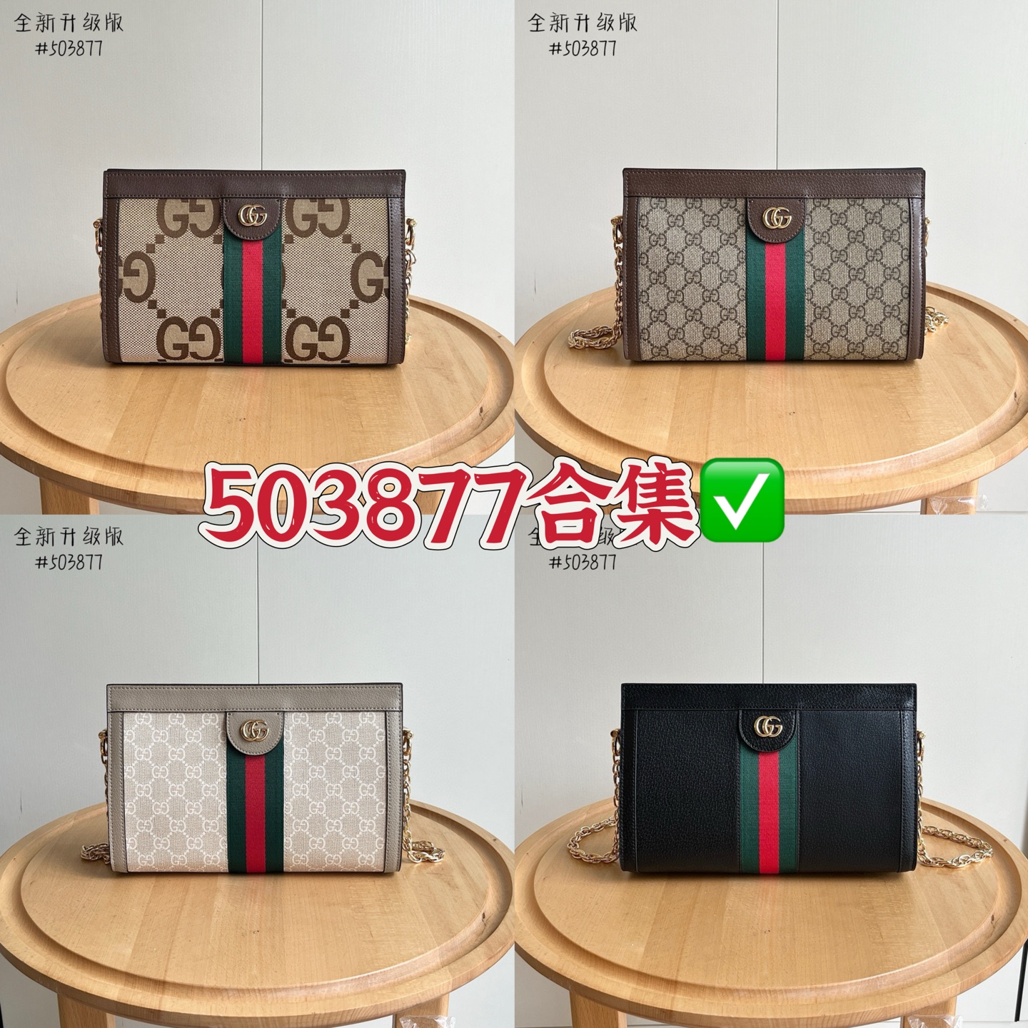 Colección 503877🔥