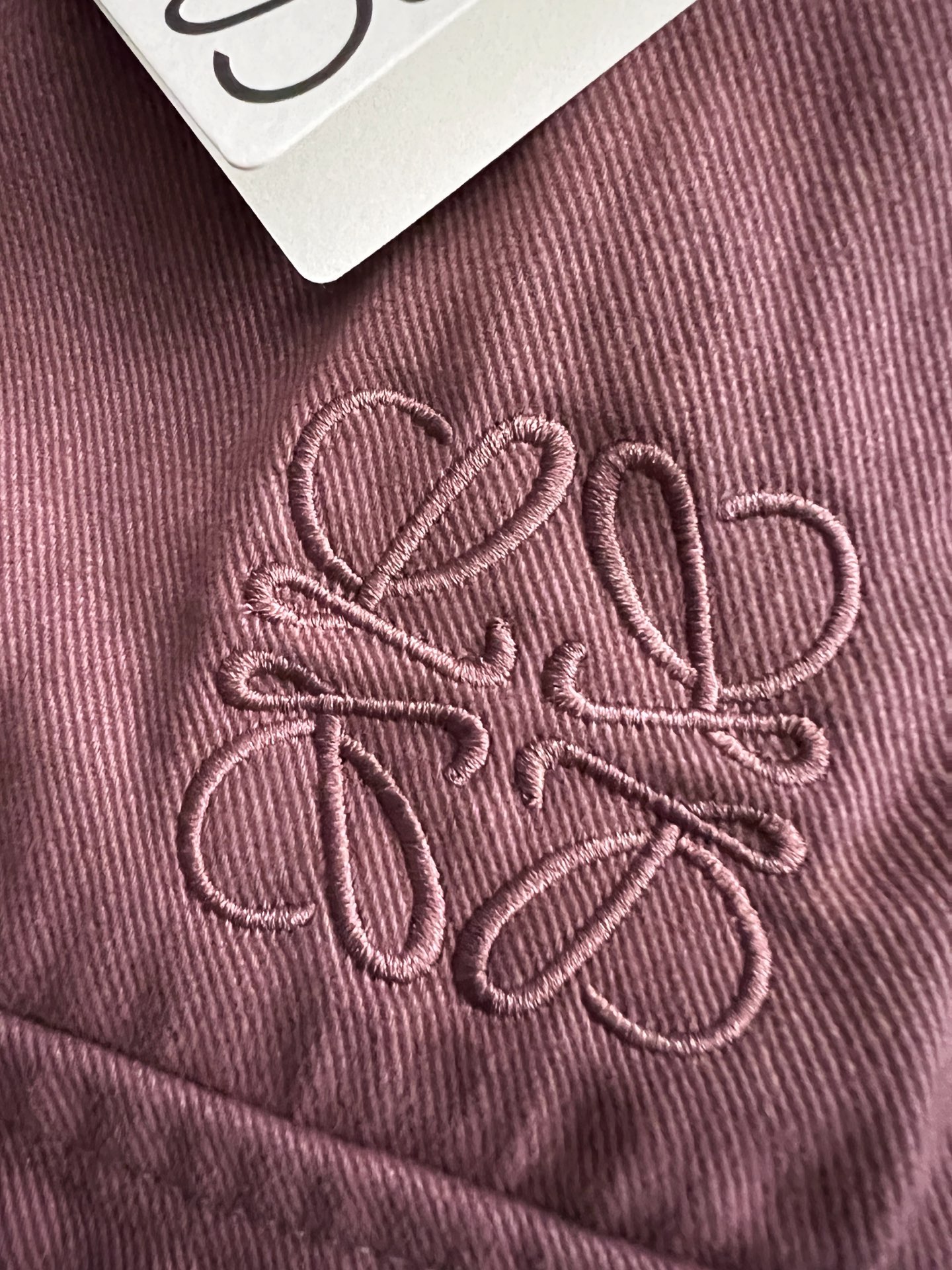   短裤服装,男,女 5