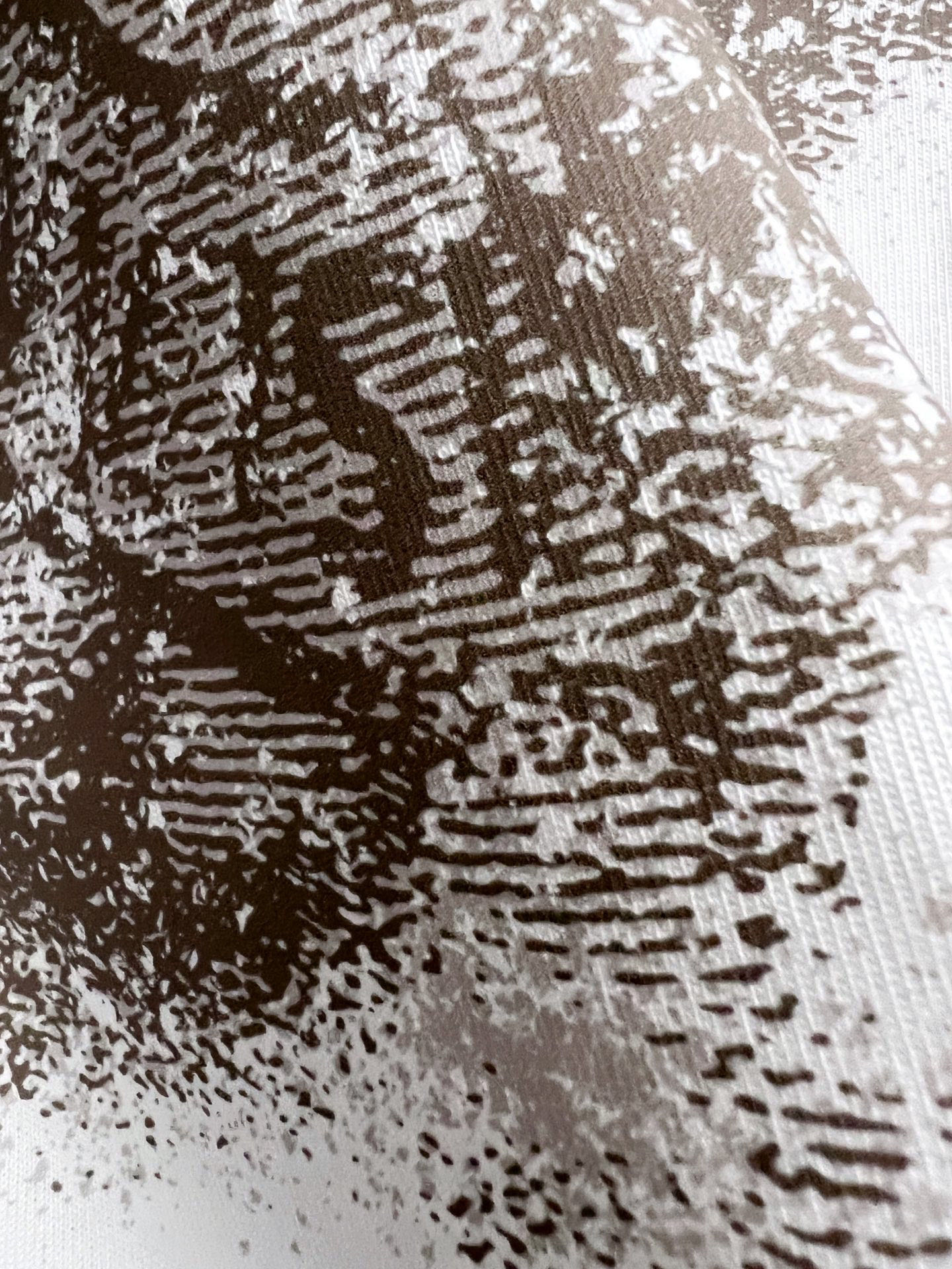 ）翻单出货、石头岛&CD*、🌟2025Ss爆款280g纯棉双纱爆款现货四季系列短袖，简约基础衣橱神器， 