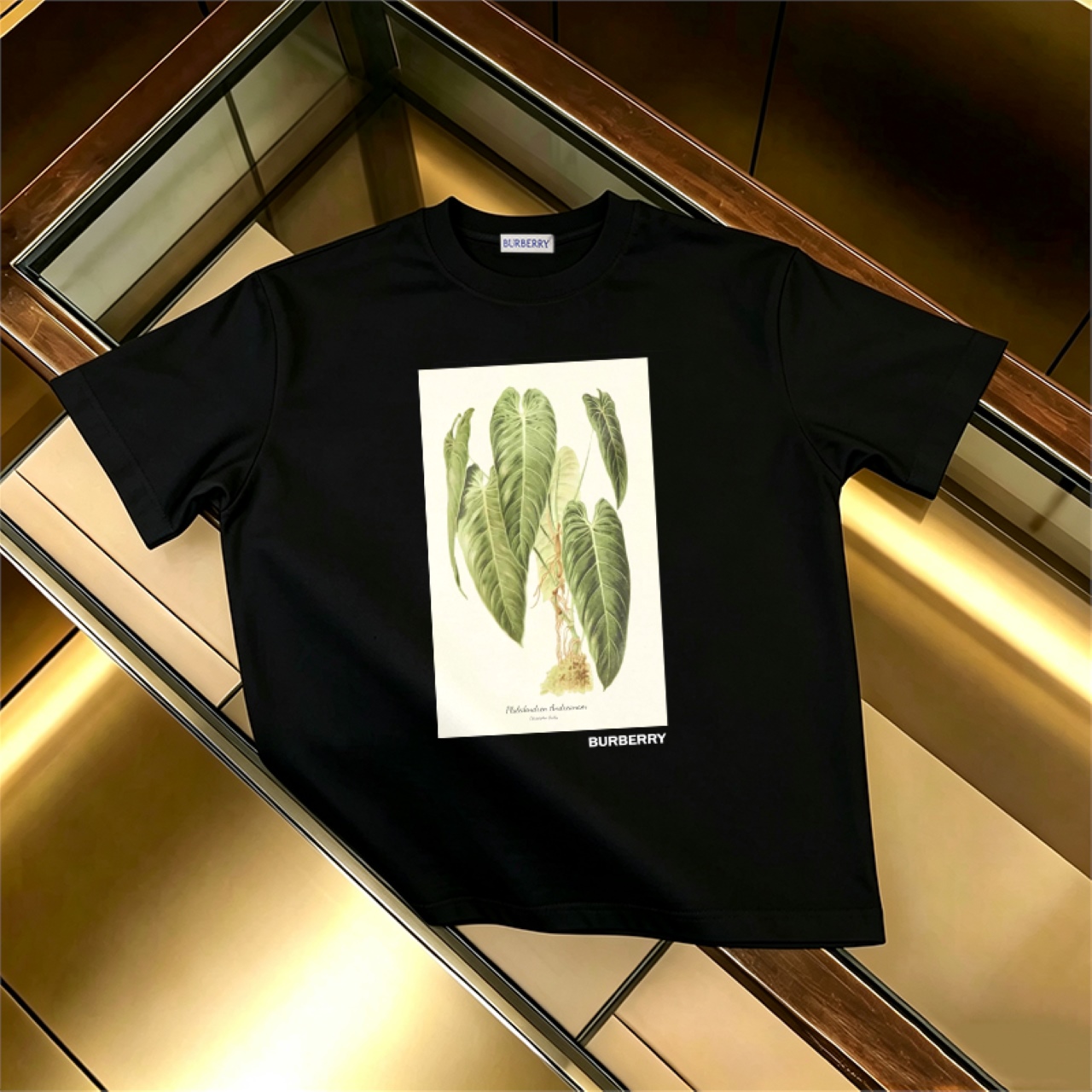버버리 여성 반팔 88045 Burberry T Shirt