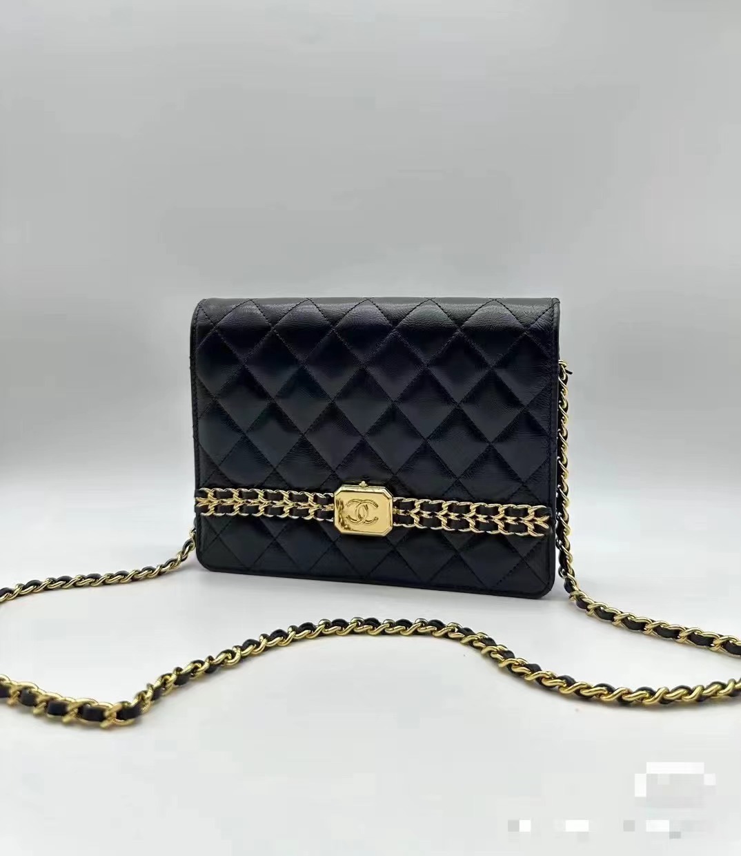Chanel Luxury Handbag Collection 4